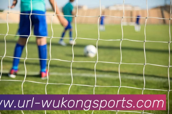 悟空体育平台生态图